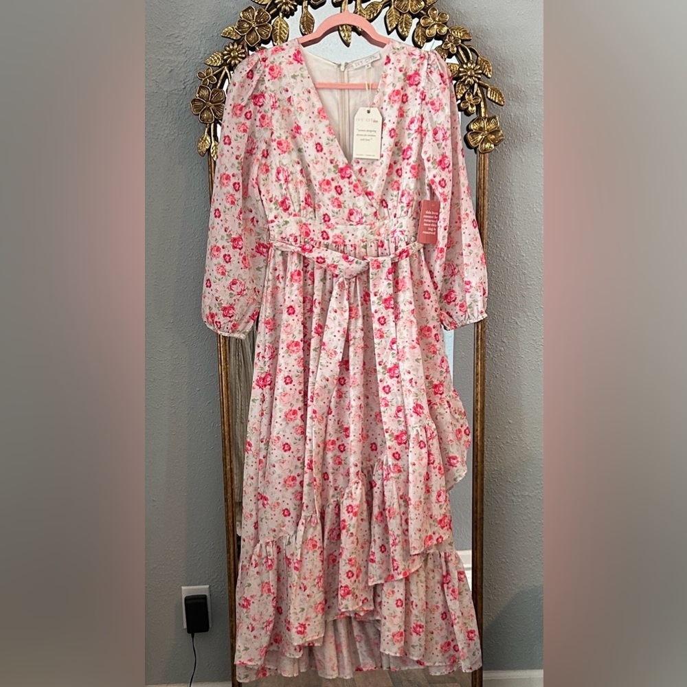 Ivy City Co Mi Amor Dress - Medium - Picture 3 of 5